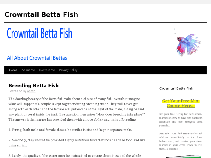 www.crowntailbetta.org