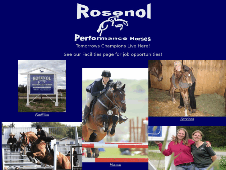 www.rosenolperformancehorses.ca