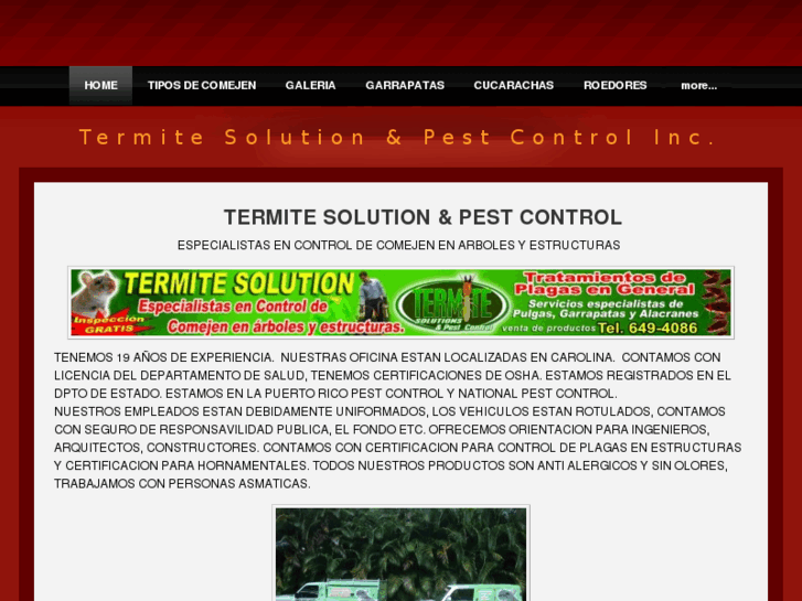 www.termitesolutionpr.com