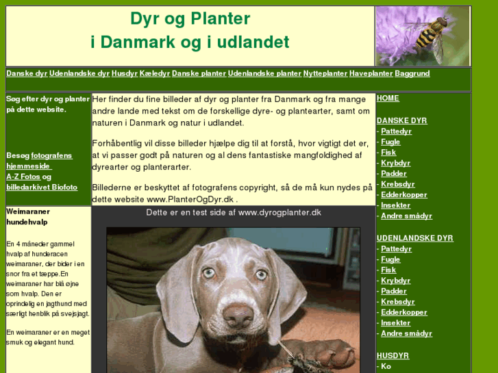 www.dyrogplanter.dk