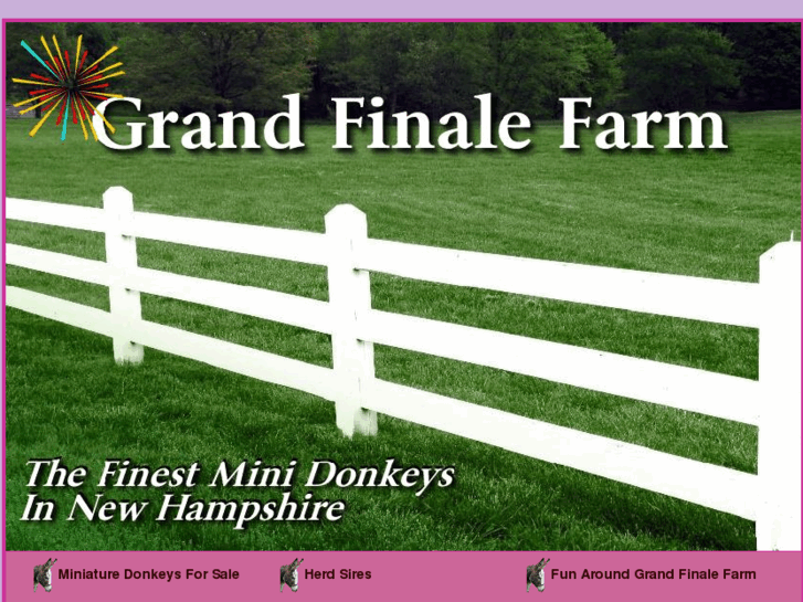 www.grandfinaleminidonkeys.com