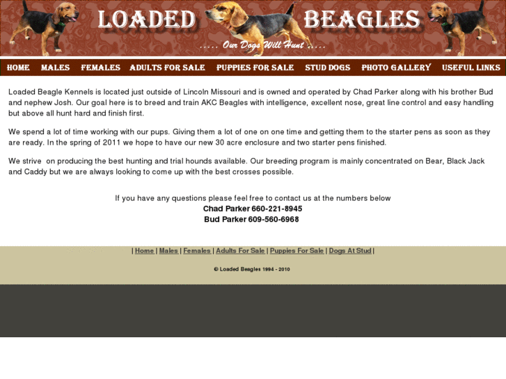 www.loadedbeagles.com