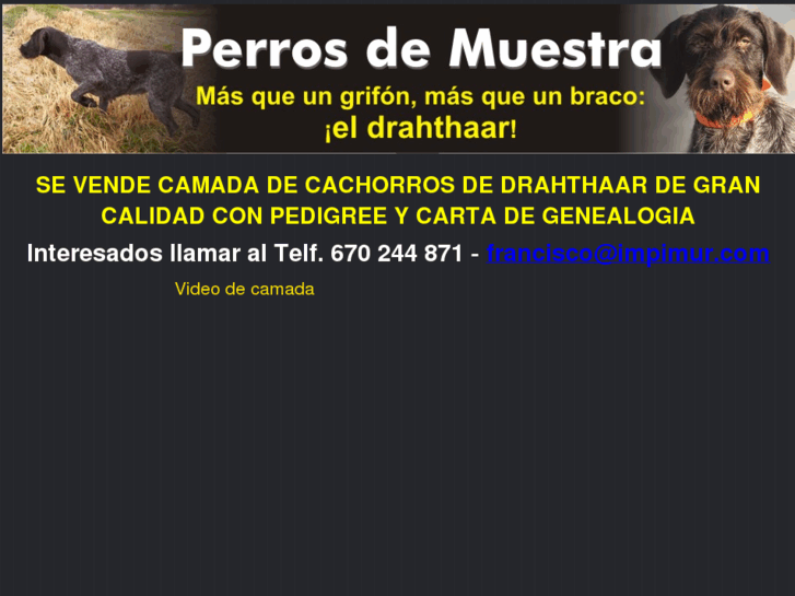 www.perrosdemuestra.es