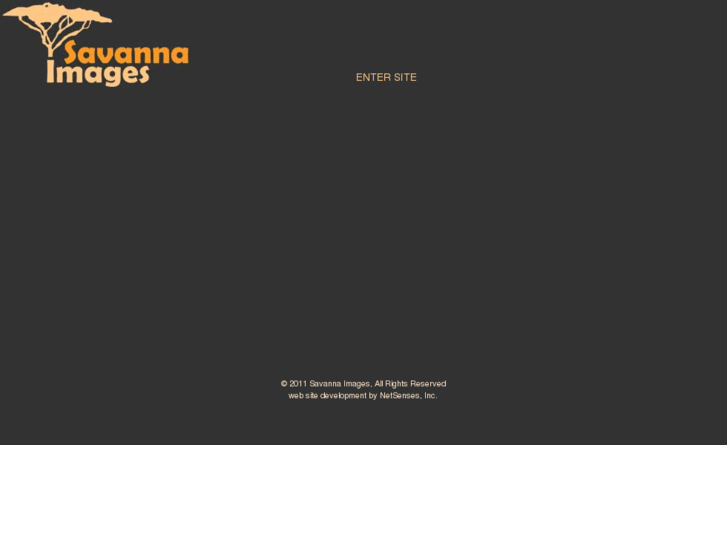 www.savannaimages.com