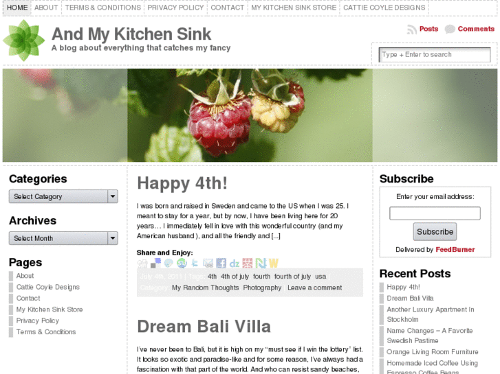 www.andmykitchensink.com