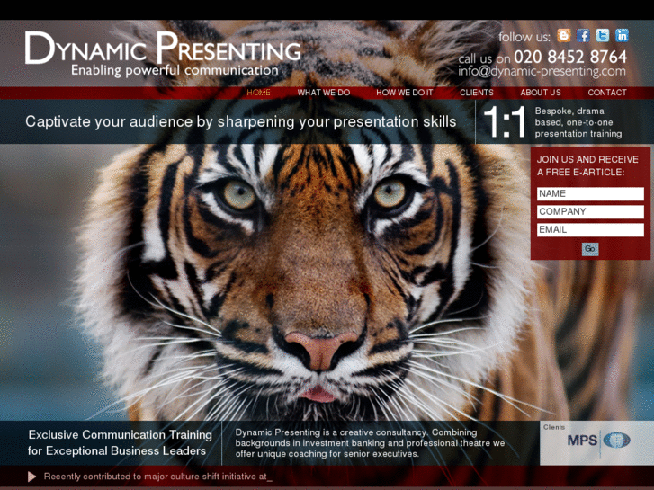 www.dynamic-presenting.com