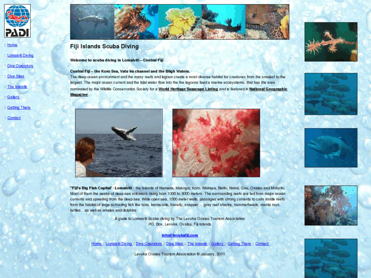 www.fiji-scubadiving.com