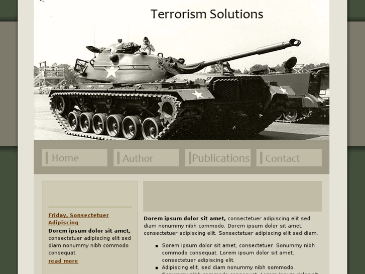 www.terrorismsolutions.com