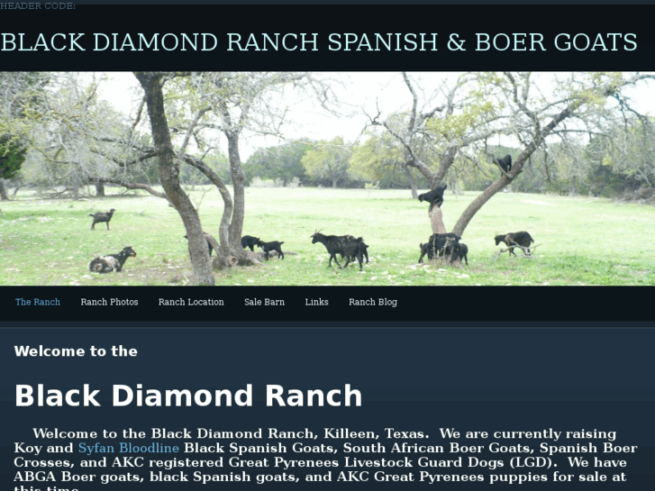 www.blackdiamondsranch.com