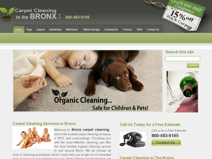 www.carpet-cleaning-in-bronx.com