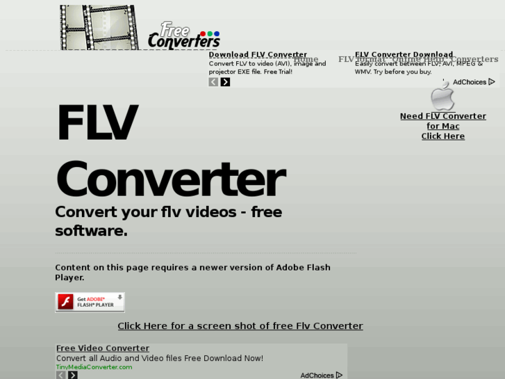 www.flv-converter.org