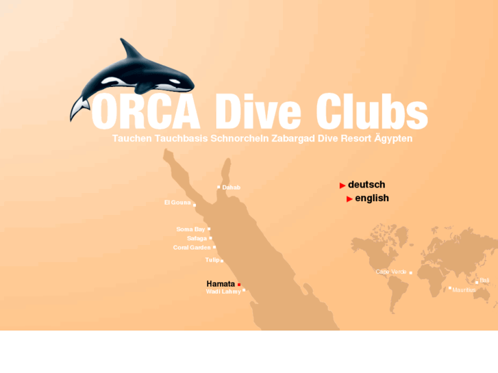 www.orca-diveclub-hamata.com