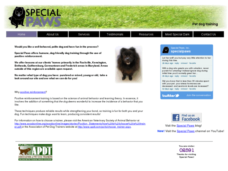 www.specialpawstraining.com