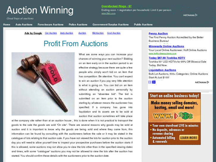 www.auctionwinning.com