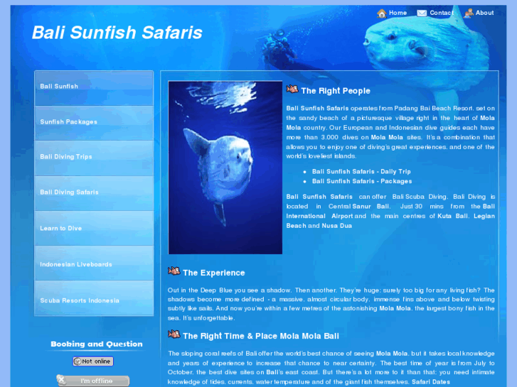 www.bali-sunfish.com