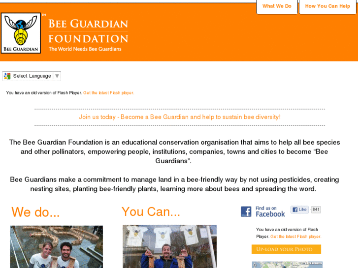 www.beeguardianfoundation.org