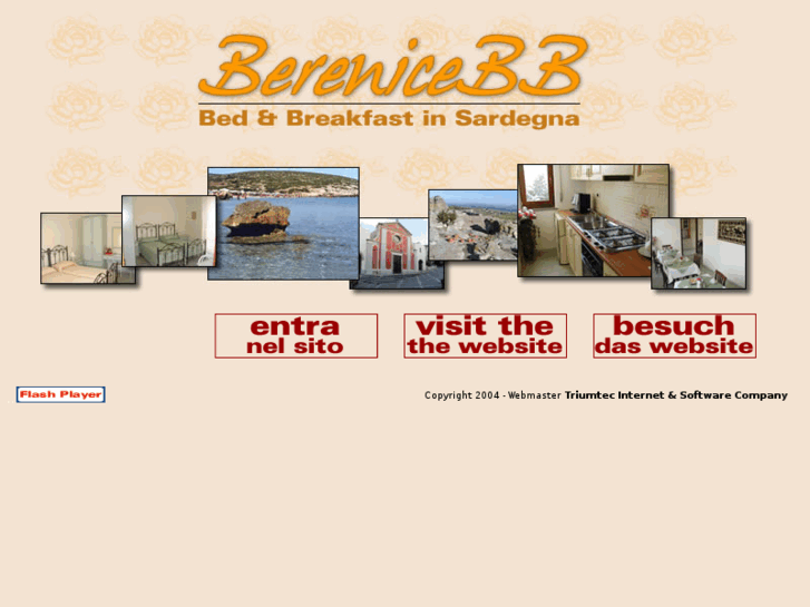 www.berenicebb.com