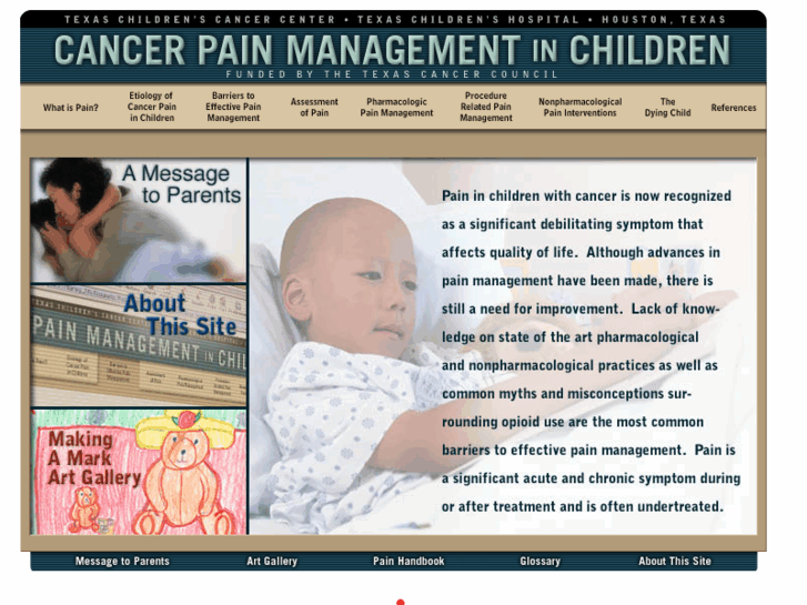 www.childcancerpain.org