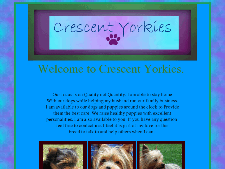 www.crescentyorkies.com