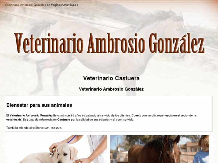 www.veterinarioambrosiogonzalez.com