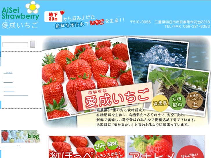 www.aisei-strawberry.net