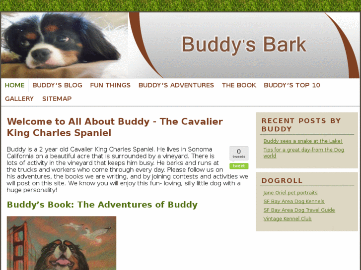 www.buddysbark.com