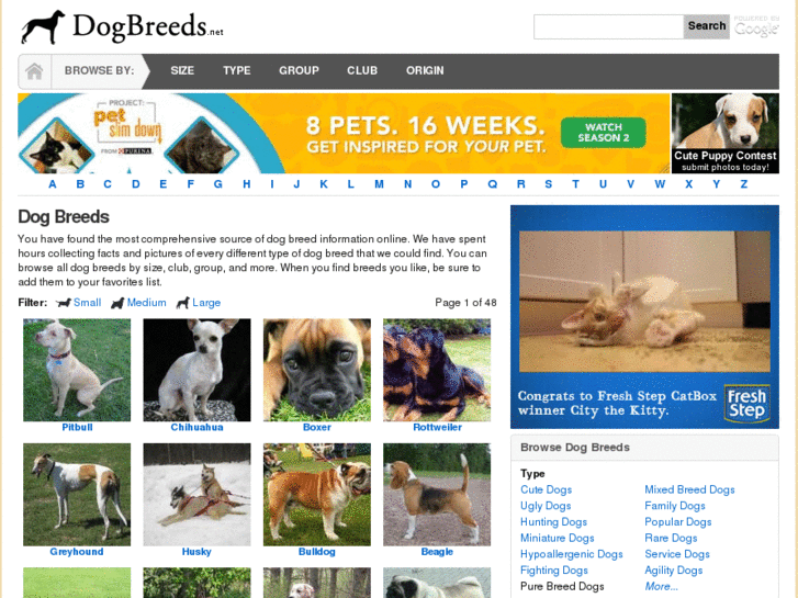 www.dogbreeds.net