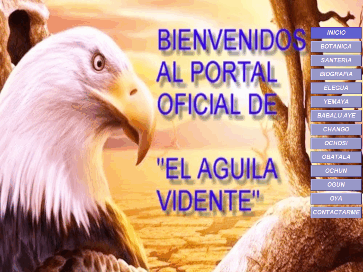 www.elaguilavidente.com