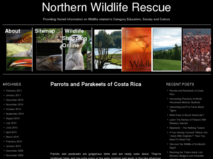 www.northernwildliferescue.com