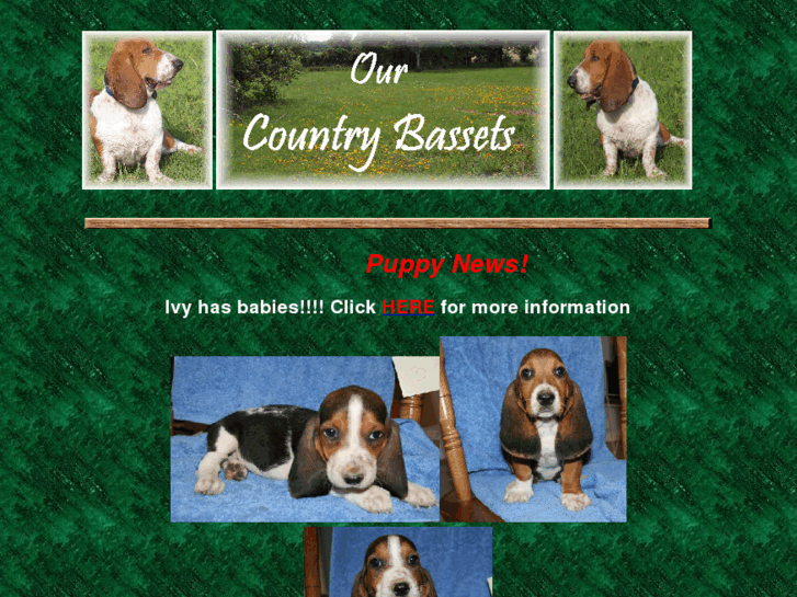 www.ourcountrybassets.com