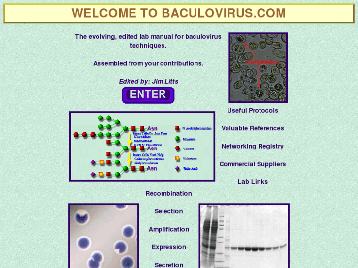 www.baculovirus.com