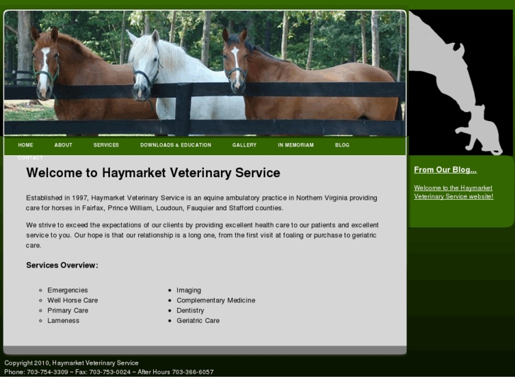 www.haymarketvet.com