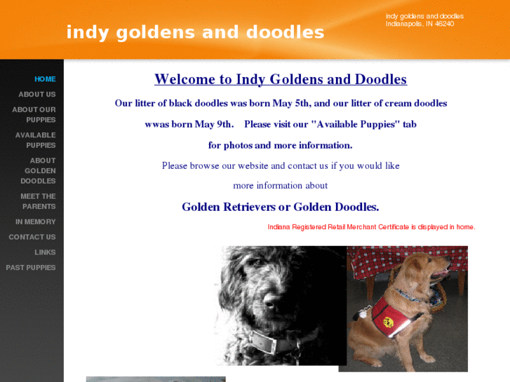 www.indygoldensanddoodles.com