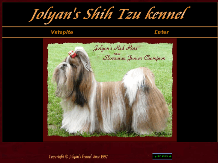 www.jolyans-shihtzu.com