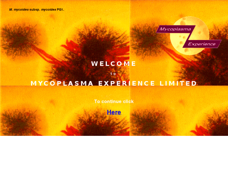 www.mycoplasma-exp.com