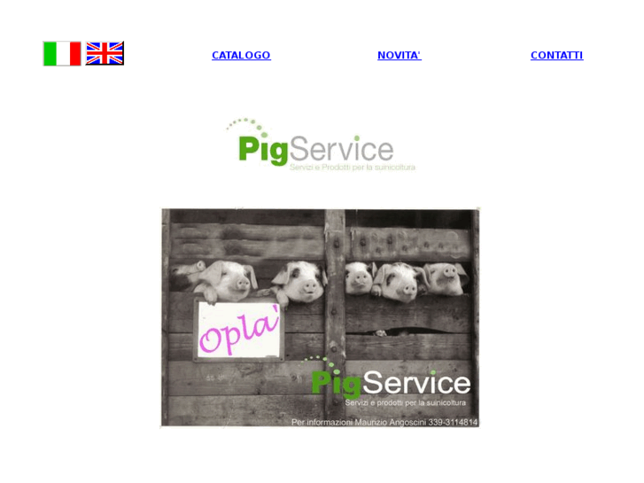 www.pigserviceonline.com