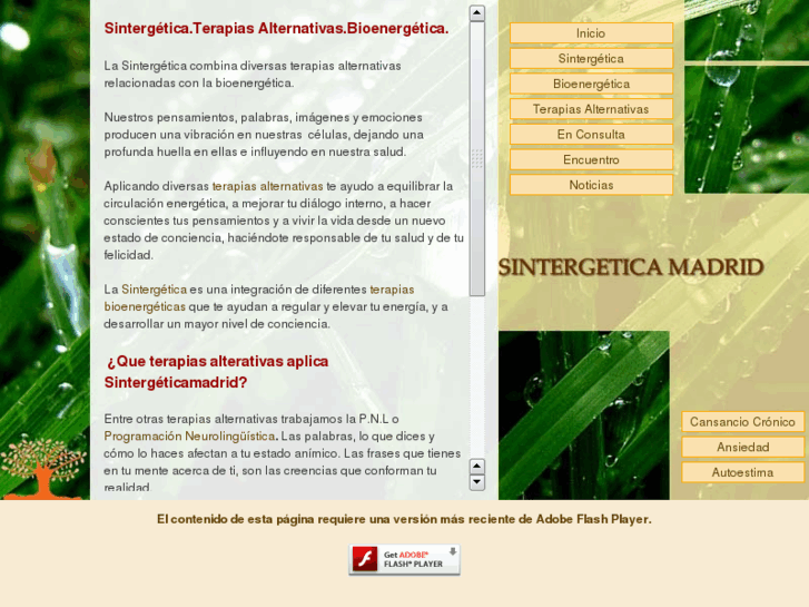 www.sintergeticamadrid.com