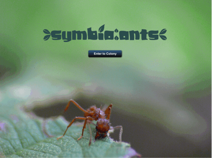 www.symbioants.com