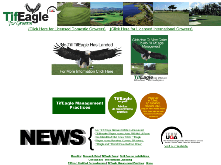 www.tifeagle.com