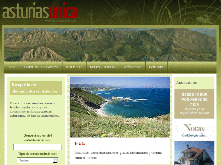 www.xn--asturiasnica-tkb.com