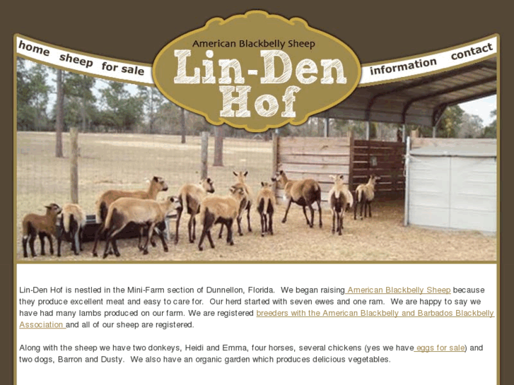 www.lindensheep.com