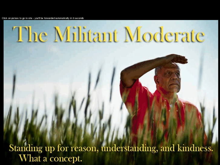 www.militantmoderate.com