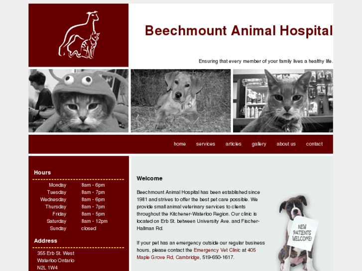 www.beechmountanhosp.ca