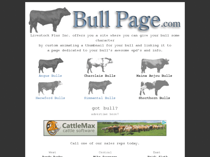 www.bullpage.com