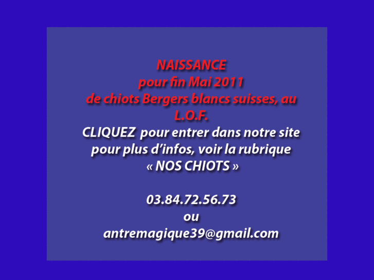 www.elevageantremagique.com