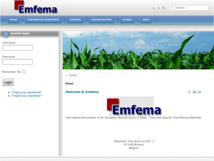 www.emfema.org