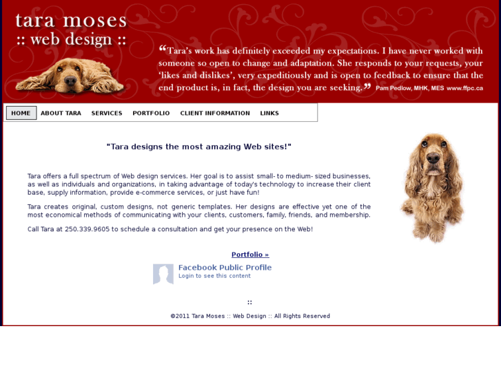 www.taramoseswebdesign.com