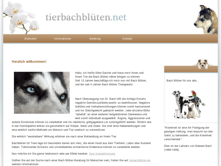 www.tierbachblueten.net