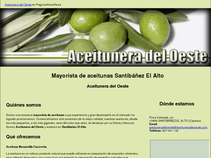 www.aceituneradeloeste.com