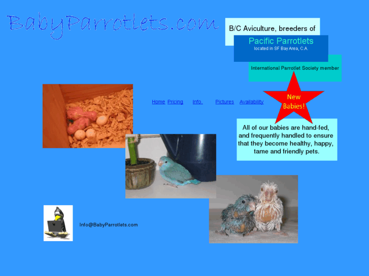 www.babyparrotlets.com